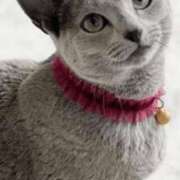 ヒメ日記 2026/04/05 21:29 投稿 みう 千姫(道後)