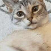 ヒメ日記 2026/04/07 21:09 投稿 みう 千姫(道後)