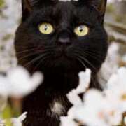 ヒメ日記 2026/04/12 00:02 投稿 みう 千姫(道後)