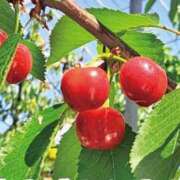 ヒメ日記 2025/05/21 10:44 投稿 大倉 人妻楼 熊谷店