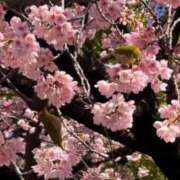 大倉 ぱい 人妻楼 熊谷店