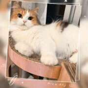 ヒメ日記 2024/12/13 22:44 投稿 ひな奥様 なすがママされるがママ西川口