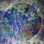 ヒメ日記 2024/12/28 04:34 投稿 ひな奥様 なすがママされるがママ西川口