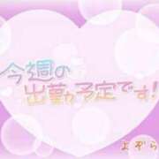 ヒメ日記 2023/12/20 15:23 投稿 よぞら 長野権堂更埴ちゃんこ