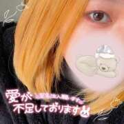 ヒメ日記 2024/12/21 18:38 投稿 よぞら 長野権堂更埴ちゃんこ