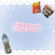 ヒメ日記 2024/12/27 11:39 投稿 よぞら 長野権堂更埴ちゃんこ