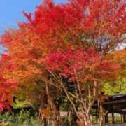 ヒメ日記 2025/11/28 15:31 投稿 れん【美人！美脚！美尻！】 Beppin house