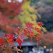 ヒメ日記 2025/11/28 15:38 投稿 れん【美人！美脚！美尻！】 Beppin house