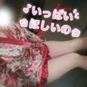 ヒメ日記 2025/03/19 09:01 投稿 しずく やMAT撫子