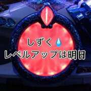 しずく 明日はレベルアップの日✨しずくのハジメテ🫶 やMAT撫子