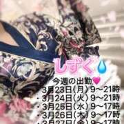 しずく 今週の出勤🌱 やMAT撫子