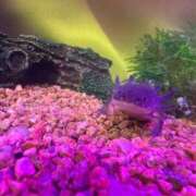 ヒメ日記 2025/09/15 15:04 投稿 田中えり 手コキ研修塾