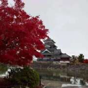 田中えり 🎀 手コキ研修塾