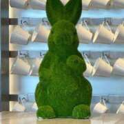 ヒメ日記 2026/01/03 12:04 投稿 田中えり 手コキ研修塾