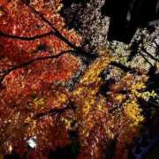 ヒメ日記 2026/01/23 10:04 投稿 田中えり 手コキ研修塾