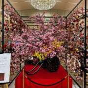 ヒメ日記 2026/02/22 14:54 投稿 田中えり 手コキ研修塾