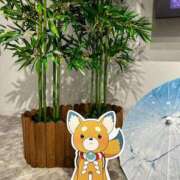 ヒメ日記 2026/03/11 10:04 投稿 田中えり 手コキ研修塾