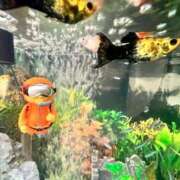 ヒメ日記 2026/04/02 13:04 投稿 田中えり 手コキ研修塾