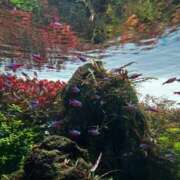 ヒメ日記 2026/04/30 10:04 投稿 田中えり 手コキ研修塾