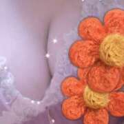 ヒメ日記 2025/06/30 10:43 投稿 らん 妻天 十三店