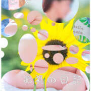 ヒメ日記 2024/12/07 18:44 投稿 さや 素人妻御奉仕倶楽部Hip's松戸店