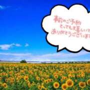 ヒメ日記 2024/12/08 09:54 投稿 さや 素人妻御奉仕倶楽部Hip's松戸店