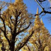 ヒメ日記 2024/12/22 15:24 投稿 さや 素人妻御奉仕倶楽部Hip's松戸店