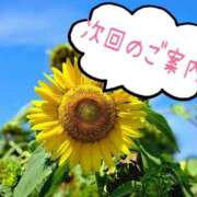 ヒメ日記 2025/01/27 12:07 投稿 さや 素人妻御奉仕倶楽部Hip's松戸店