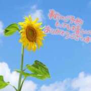 ヒメ日記 2025/01/30 09:57 投稿 さや 素人妻御奉仕倶楽部Hip's松戸店