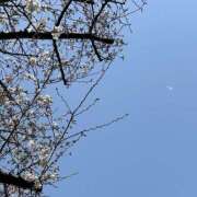 ヒメ日記 2025/03/26 09:48 投稿 さや 素人妻御奉仕倶楽部Hip's松戸店