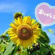 ヒメ日記 2025/04/12 12:28 投稿 さや 素人妻御奉仕倶楽部Hip's松戸店