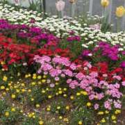 ヒメ日記 2025/04/21 10:56 投稿 さや 素人妻御奉仕倶楽部Hip's松戸店