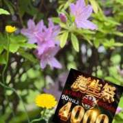 ヒメ日記 2025/04/25 10:06 投稿 さや 素人妻御奉仕倶楽部Hip's松戸店