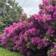 さや 今日のご案内 素人妻御奉仕倶楽部Hip's松戸店