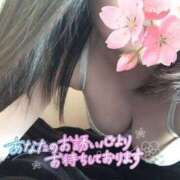 ヒメ日記 2025/04/08 21:03 投稿 あずさ ルージュ(会津若松)