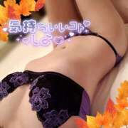 ヒメ日記 2026/10/07 16:33 投稿 あずさ ルージュ(会津若松)