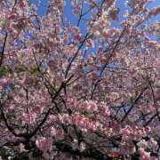 ヒメ日記 2025/04/05 00:16 投稿 はる 制服天国（ユメオト）