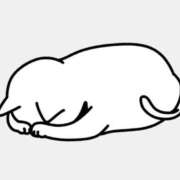 ヒメ日記 2025/03/30 09:20 投稿 山瀬　さな 福岡ホットポイント