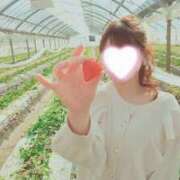 ヒメ日記 2025/02/14 11:30 投稿 春風　こうめ 福岡ホットポイント