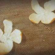 ヒメ日記 2025/02/28 08:50 投稿 春風　こうめ 福岡ホットポイント