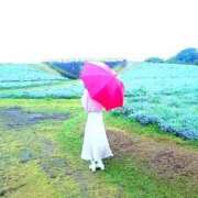 ヒメ日記 2025/03/02 11:30 投稿 春風　こうめ 福岡ホットポイント