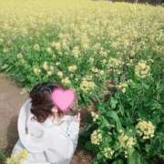 ヒメ日記 2025/03/09 11:20 投稿 春風　こうめ 福岡ホットポイント