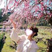 ヒメ日記 2025/03/12 09:00 投稿 春風　こうめ 福岡ホットポイント