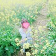 ヒメ日記 2025/03/16 07:55 投稿 春風　こうめ 福岡ホットポイント