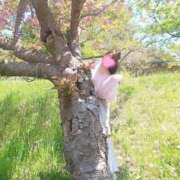 ヒメ日記 2025/03/18 19:01 投稿 春風　こうめ 福岡ホットポイント