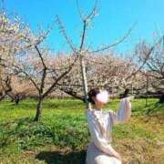 ヒメ日記 2025/03/22 10:01 投稿 春風　こうめ 福岡ホットポイント