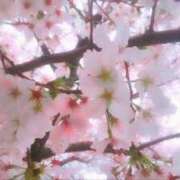 ヒメ日記 2025/03/29 10:20 投稿 春風　こうめ 福岡ホットポイント