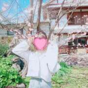 ヒメ日記 2025/03/31 12:30 投稿 春風　こうめ 福岡ホットポイント