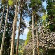 ヒメ日記 2025/04/04 20:01 投稿 春風　こうめ 福岡ホットポイント