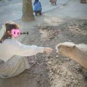 ヒメ日記 2025/04/07 12:01 投稿 春風　こうめ 福岡ホットポイント